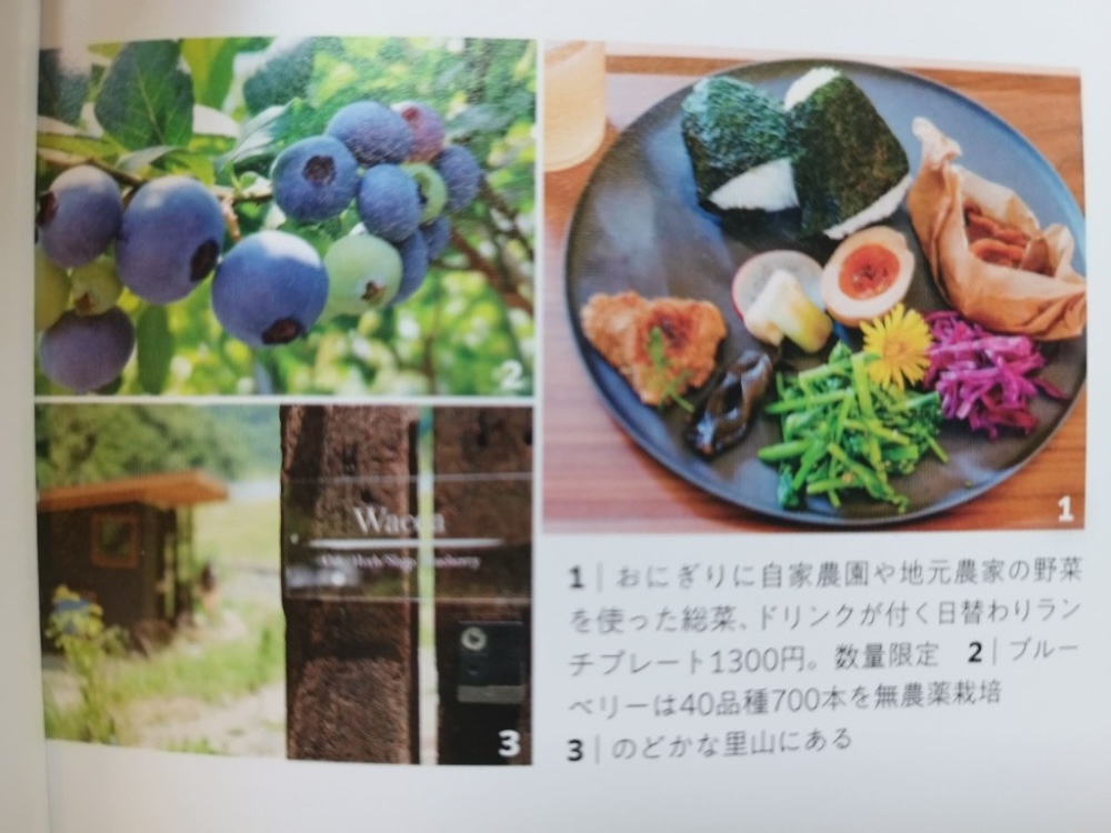 ぴあMOOK関西「森と水辺のごちそうドライブ 関西版」