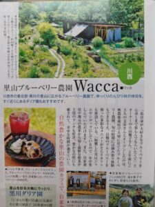 コープ「ステーション」2024年9月号