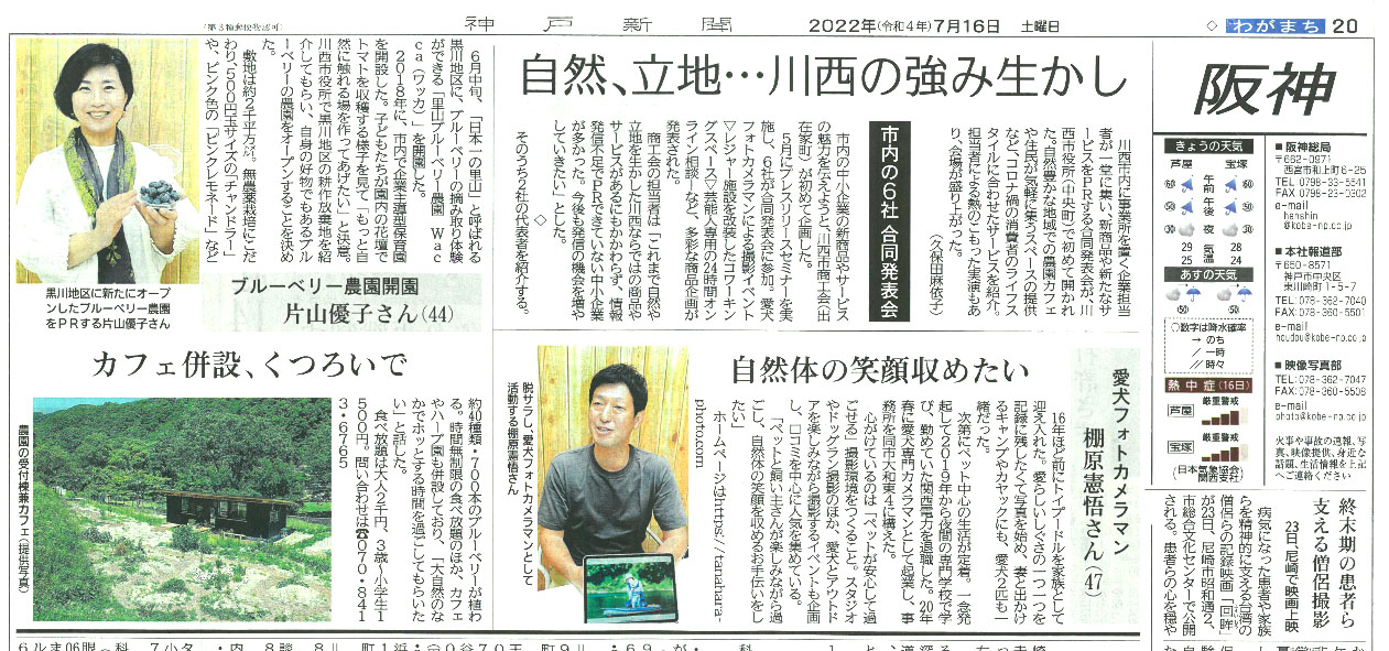神戸新聞 関西版