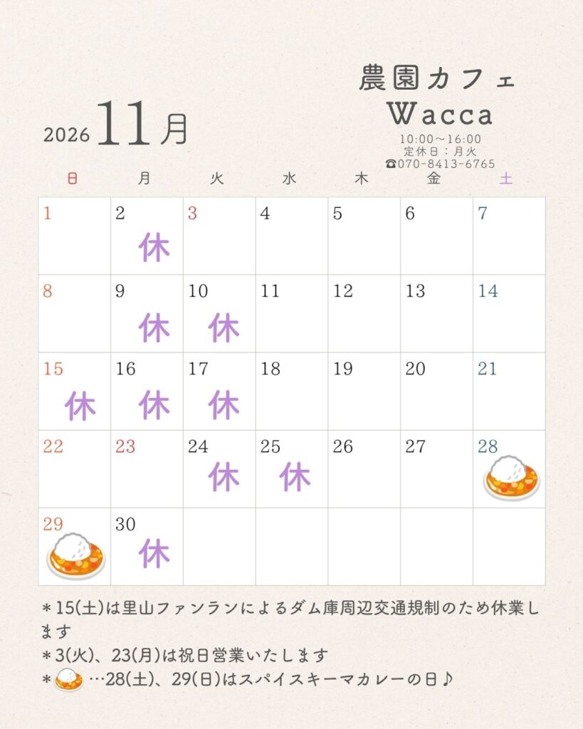 11月